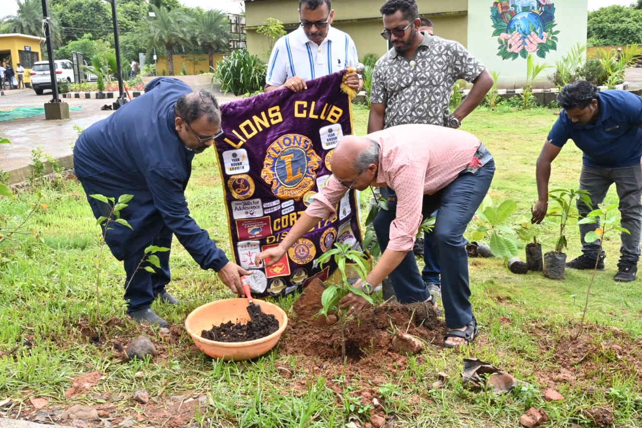 Vanamohotsav Celeberation