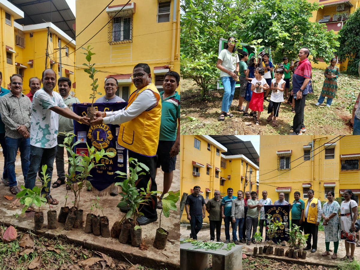 Celebrated Vano Mahotsav Festival at Vijayanagar Society- Old Goa 