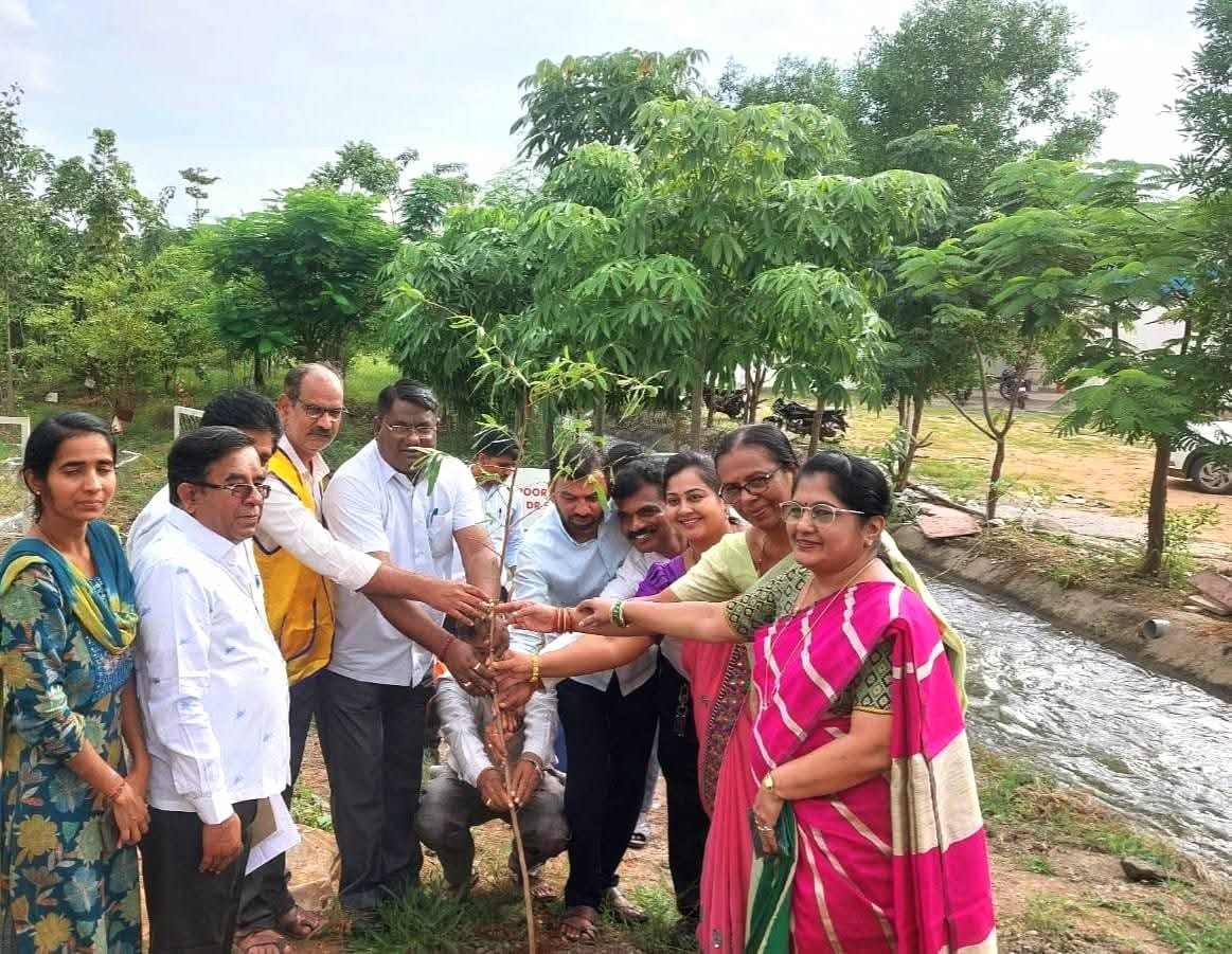 Vanamahostav , Plasting the saplings