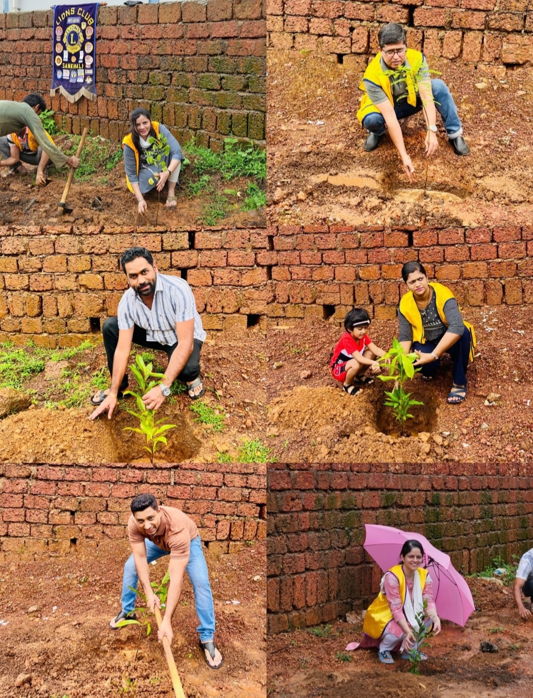 Tree Plantation Activity at IDC, Honda