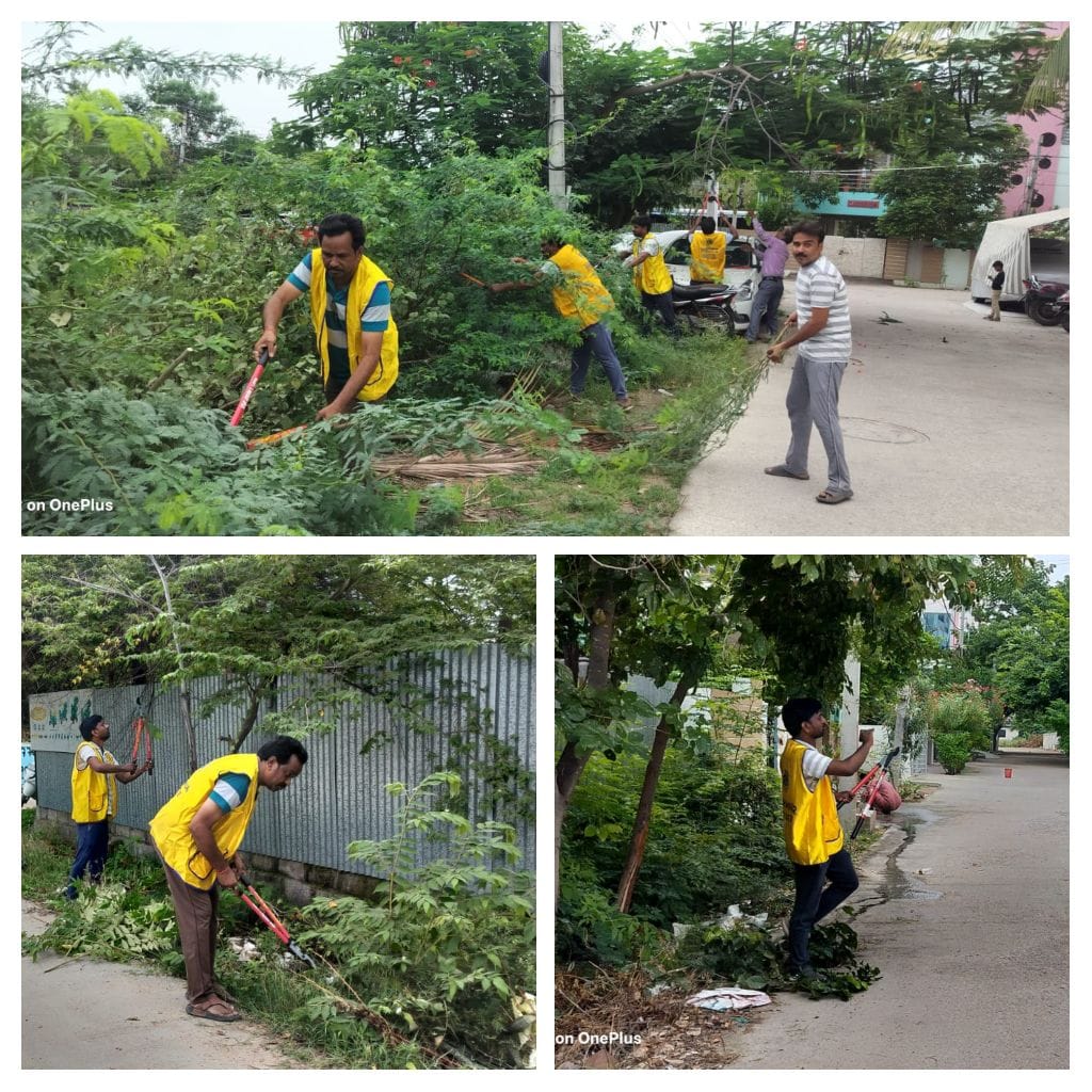 Removing Unnecessary branches and Cleaning the streets