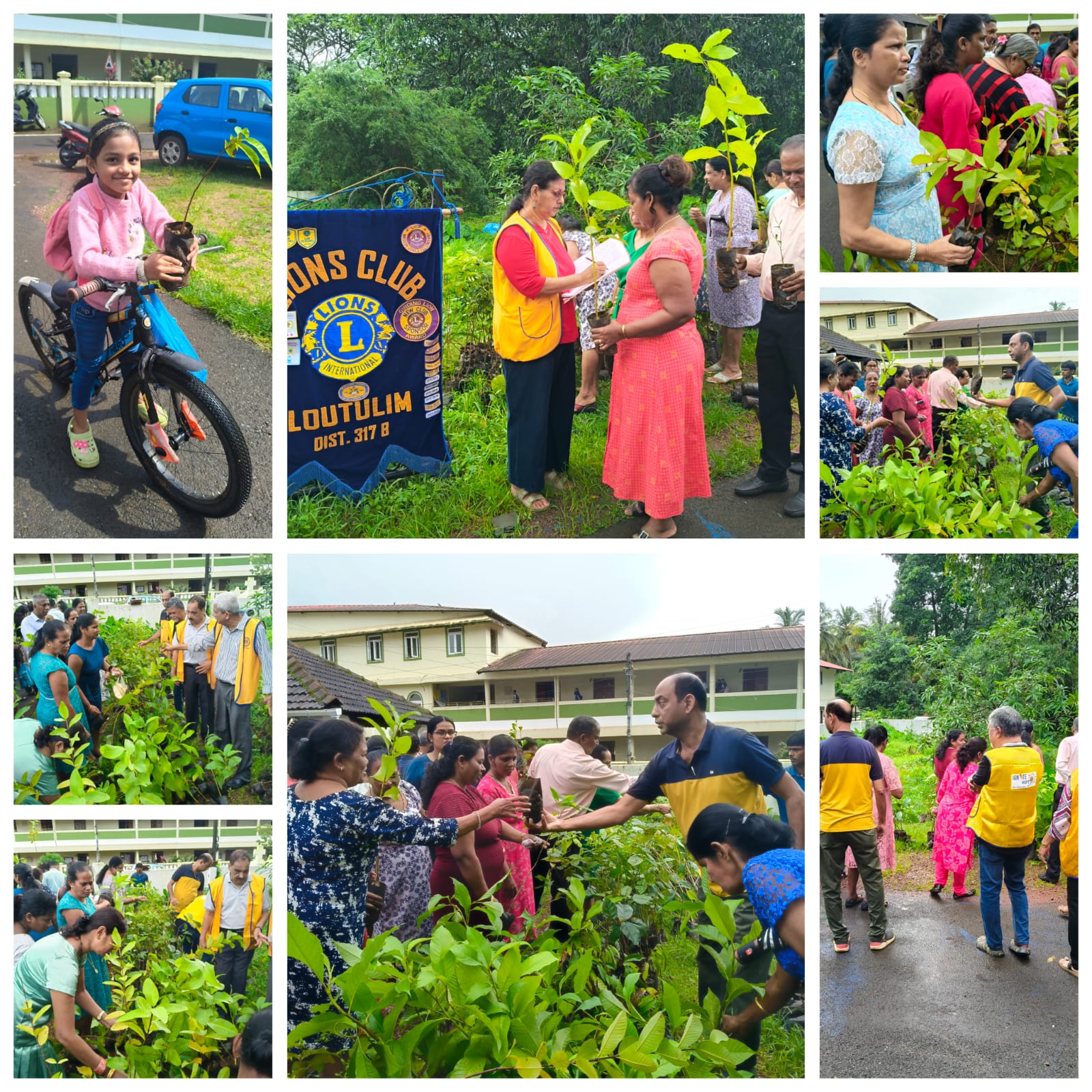 Assisted Lions Club Of Loutolim in Plant Distribution Activity 