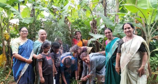 Tree Plantation Drive