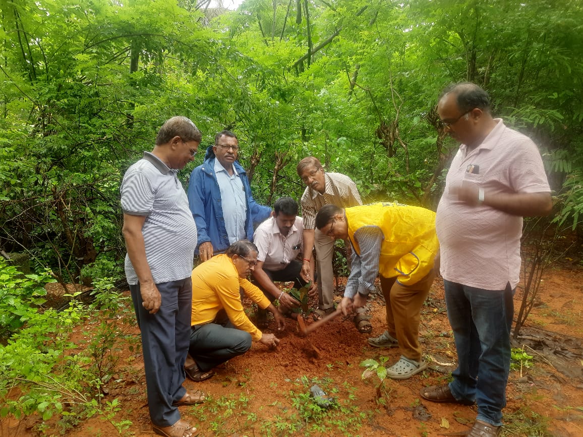 Tree Planting
