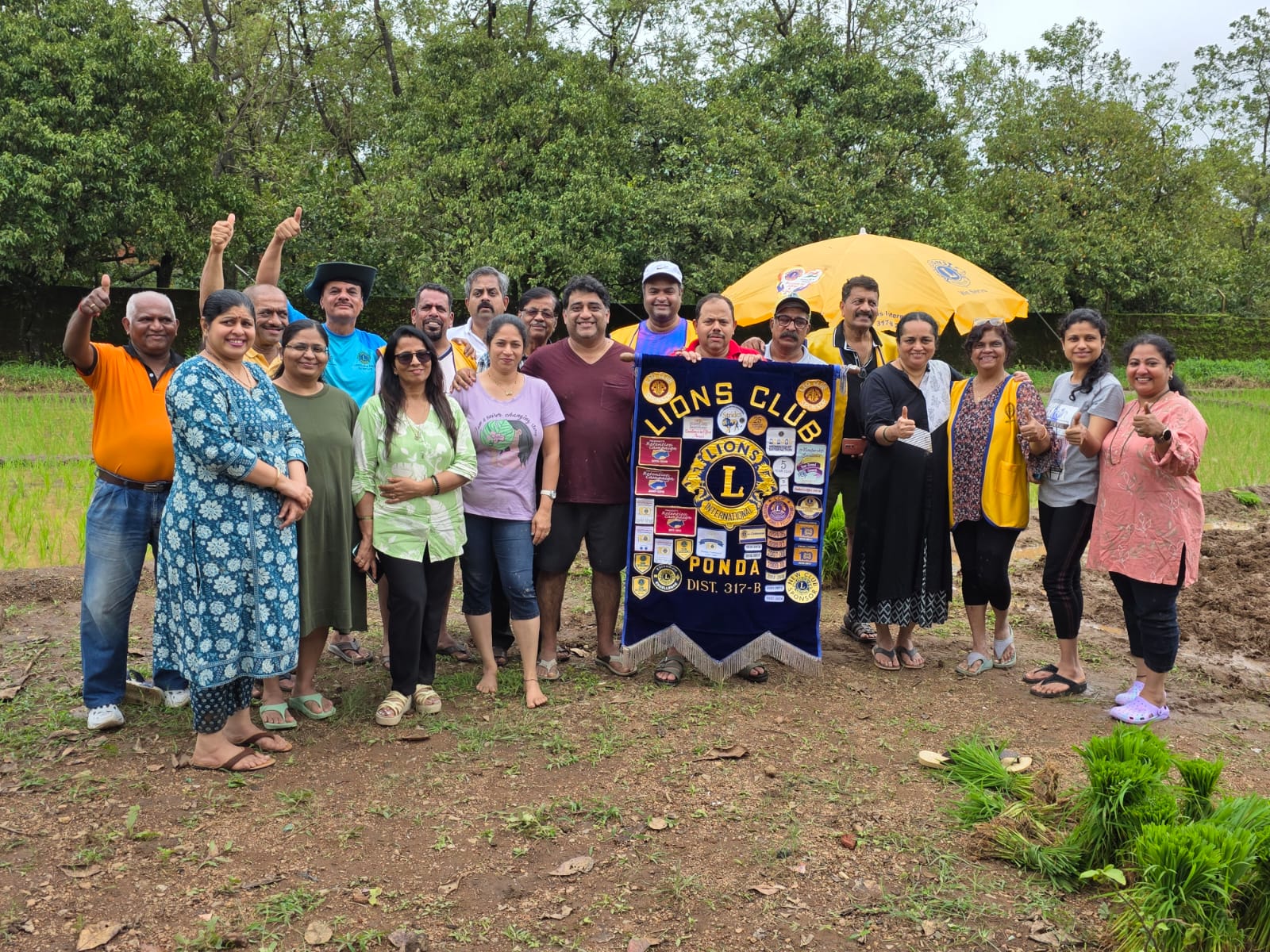 Rice Plantation at Anmod 