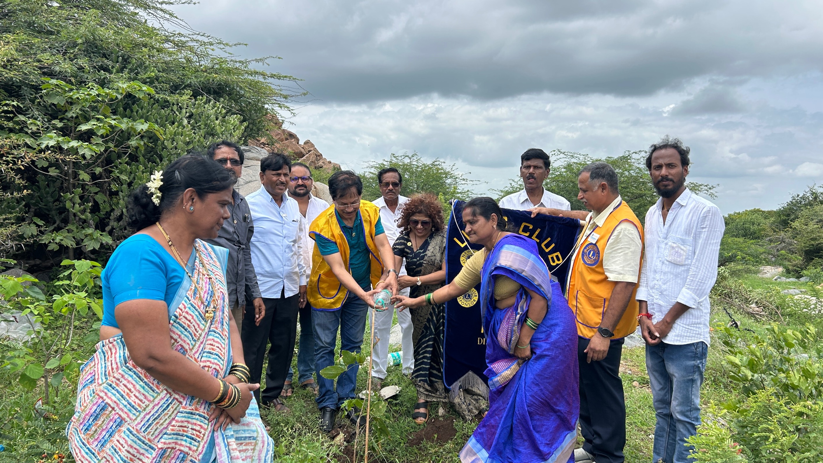 Tree plantation  