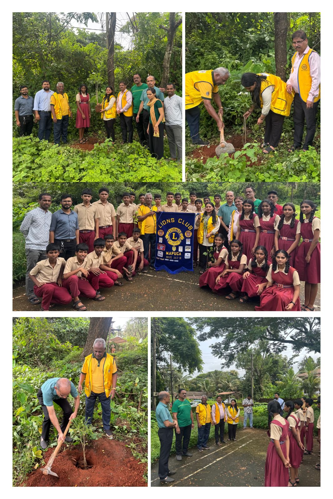 Tree Plantation Activity of Lions Club Of Mapuca