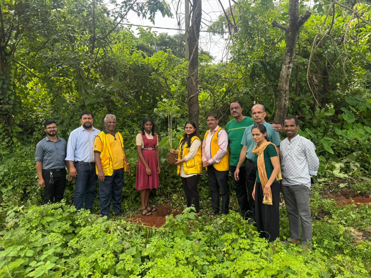 Tree Plantation Activity of Lions Club Of Mapuca