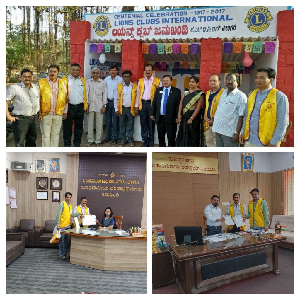 Application regarding reconstruction of lions bus shelter