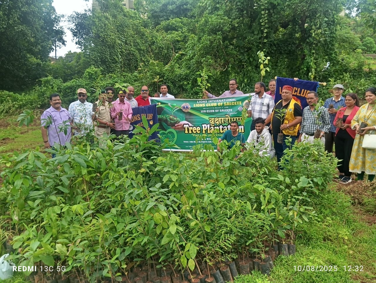 Tree plantation 