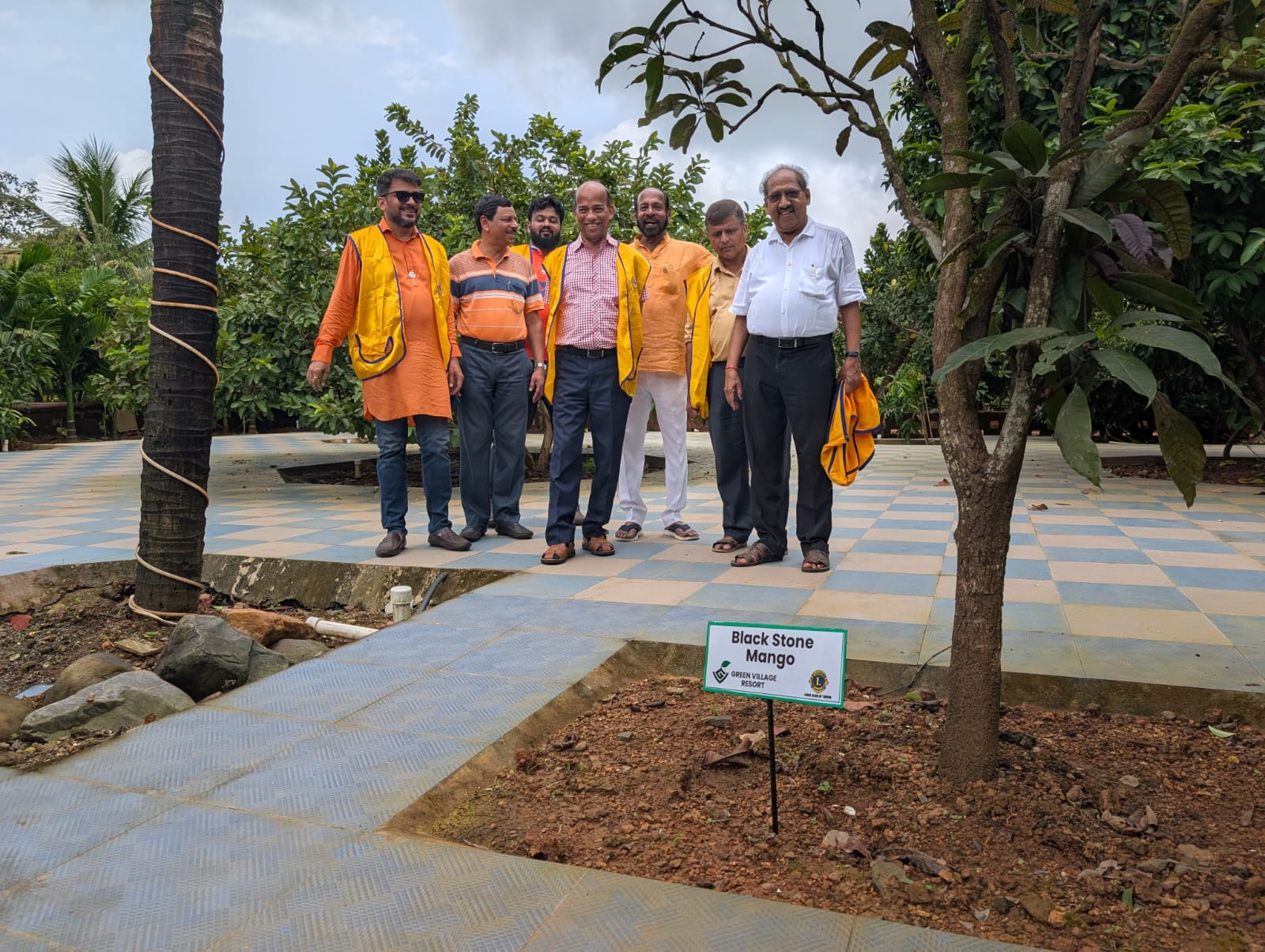 Tree Plantation Drive