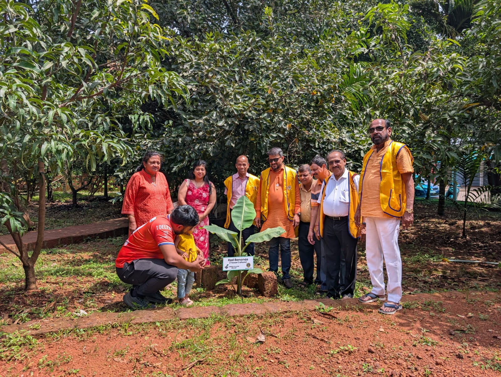 Tree Plantation Drive