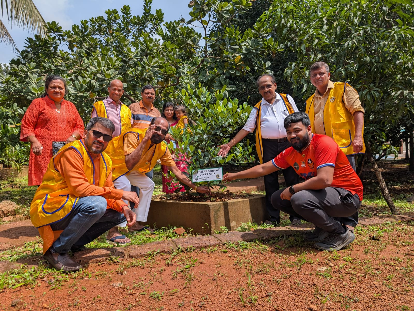 Tree Plantation Drive