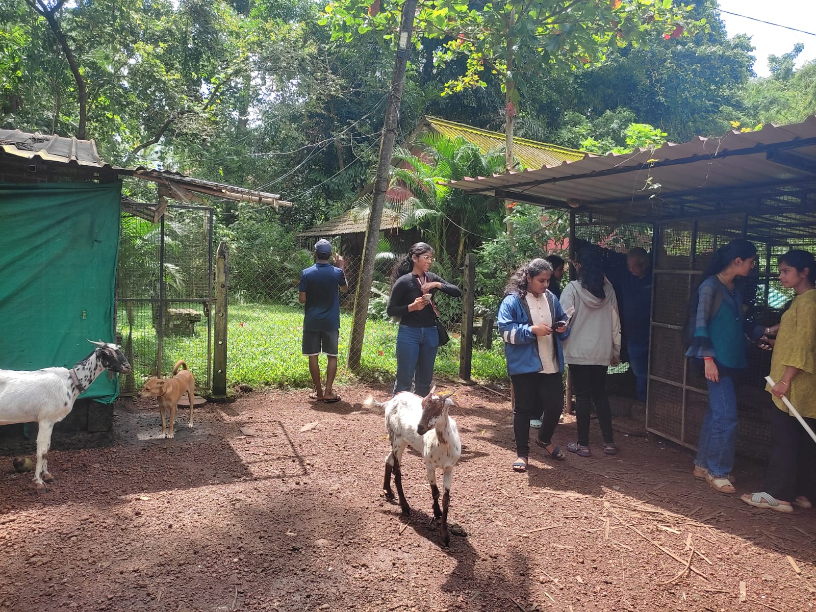 Organic Farming demo