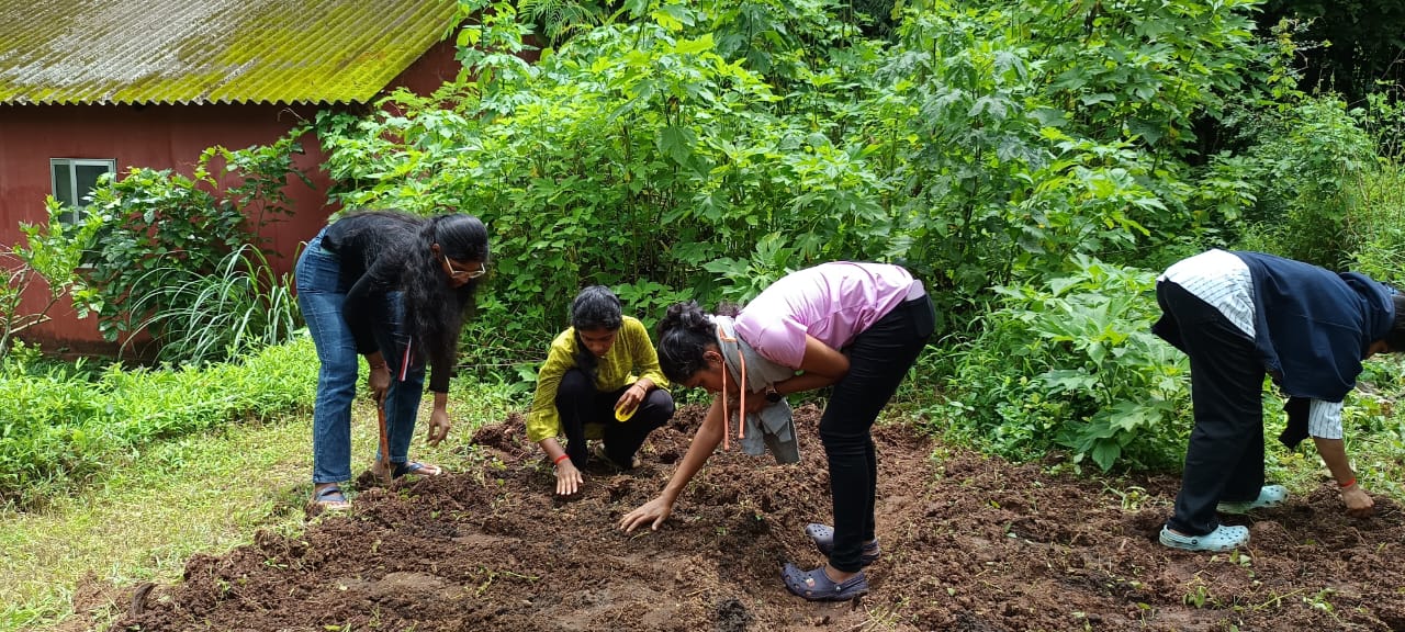Organic Farming demo