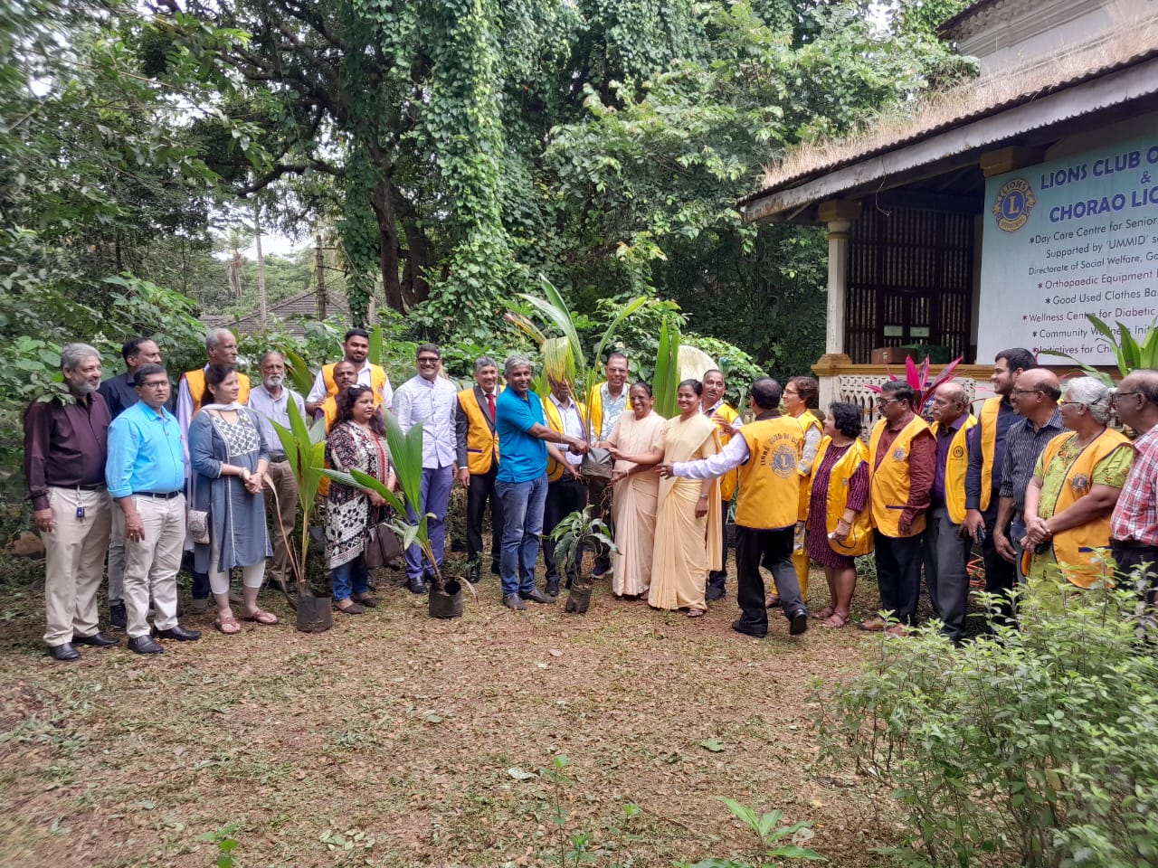 DISTRIBUTION OF COCONUT SAPLINGS.