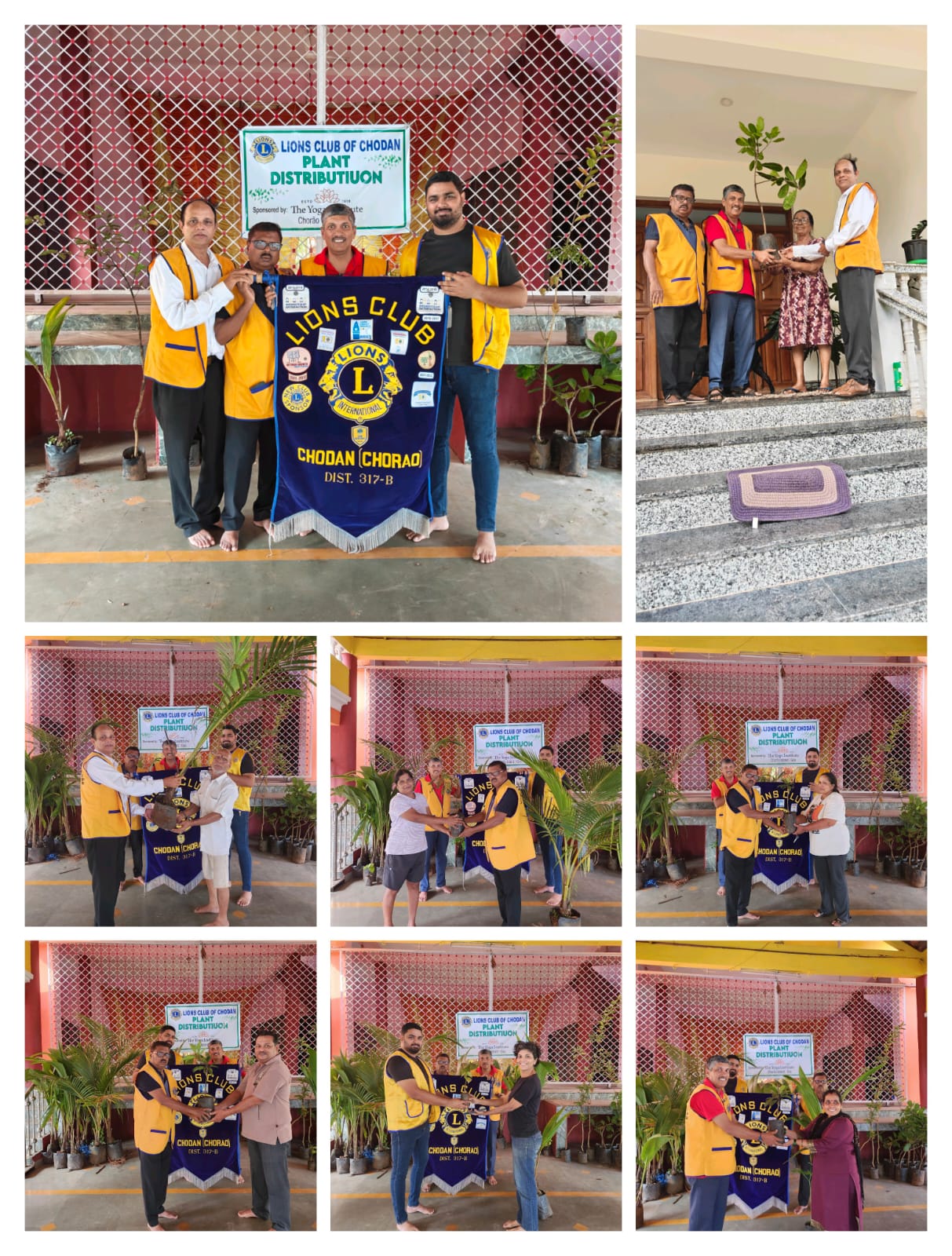 DISTRIBUTION OF VARIOUS PLANT SAPLINGS.