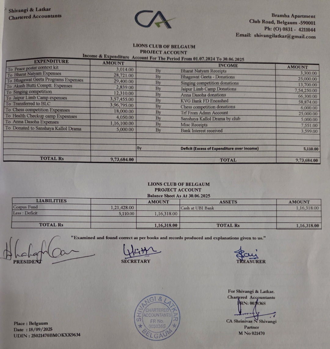 Audited Statement of Accounts 2024-25