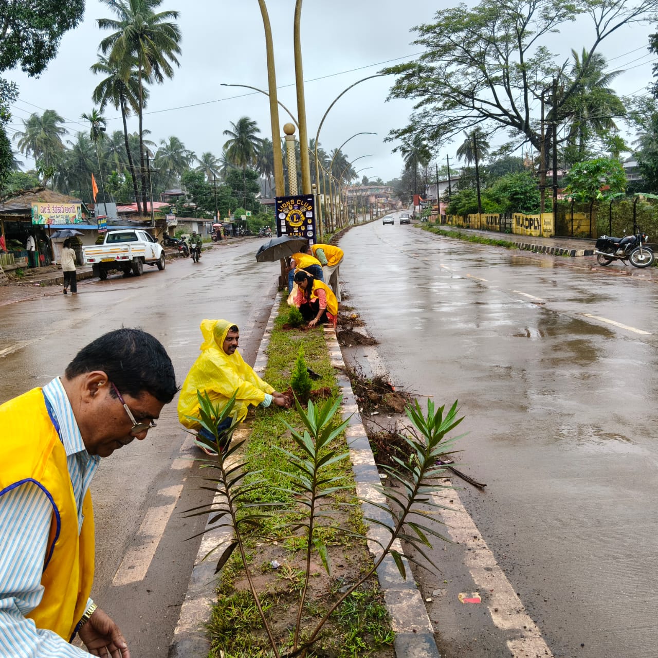 SAVIRADA SASIGALU PART 2 - PLANTING THOUSANDS OF TREES SAPLINGS BETWEEN ROAD DEVIDERS 2ND HALF