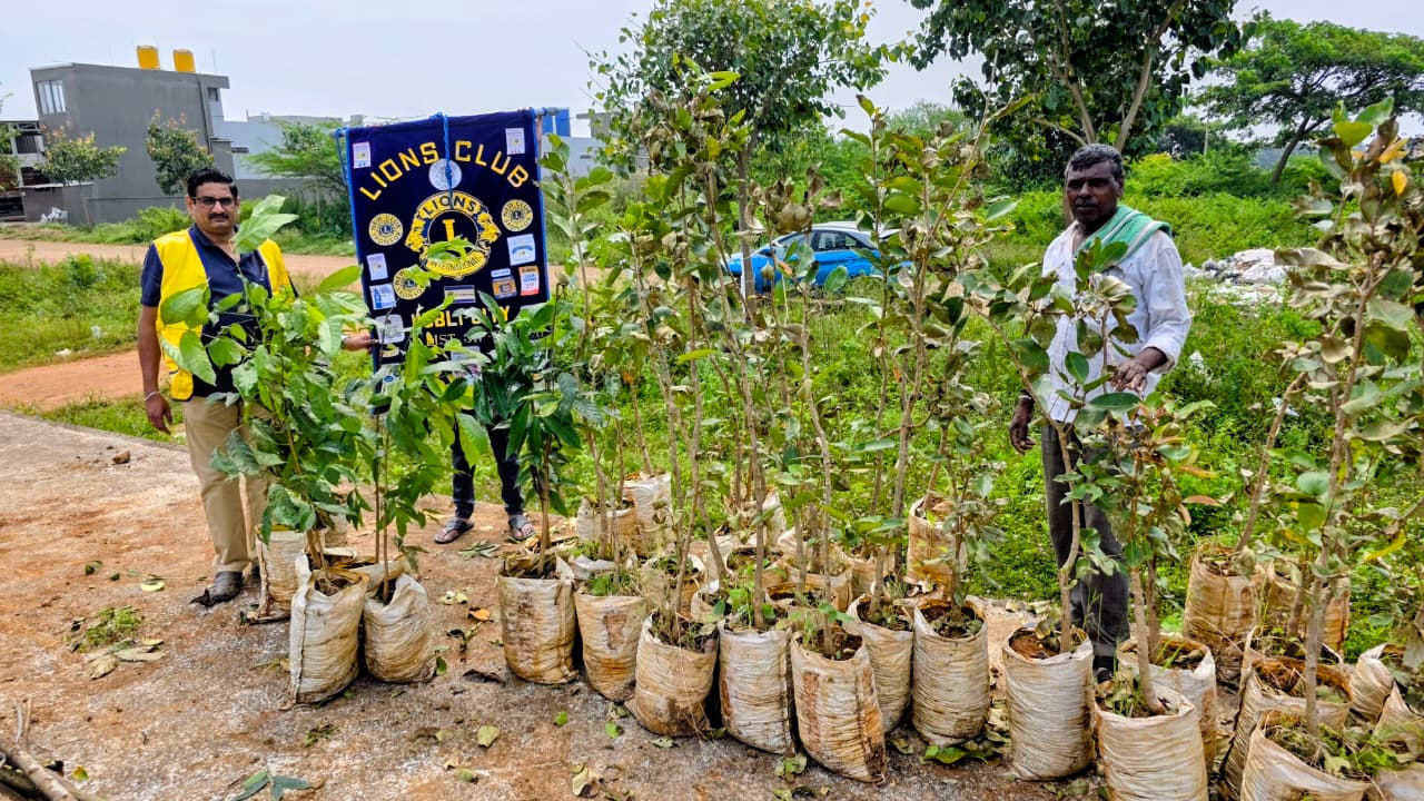 Tree Plantation Drive – Planting of 170 Saplings