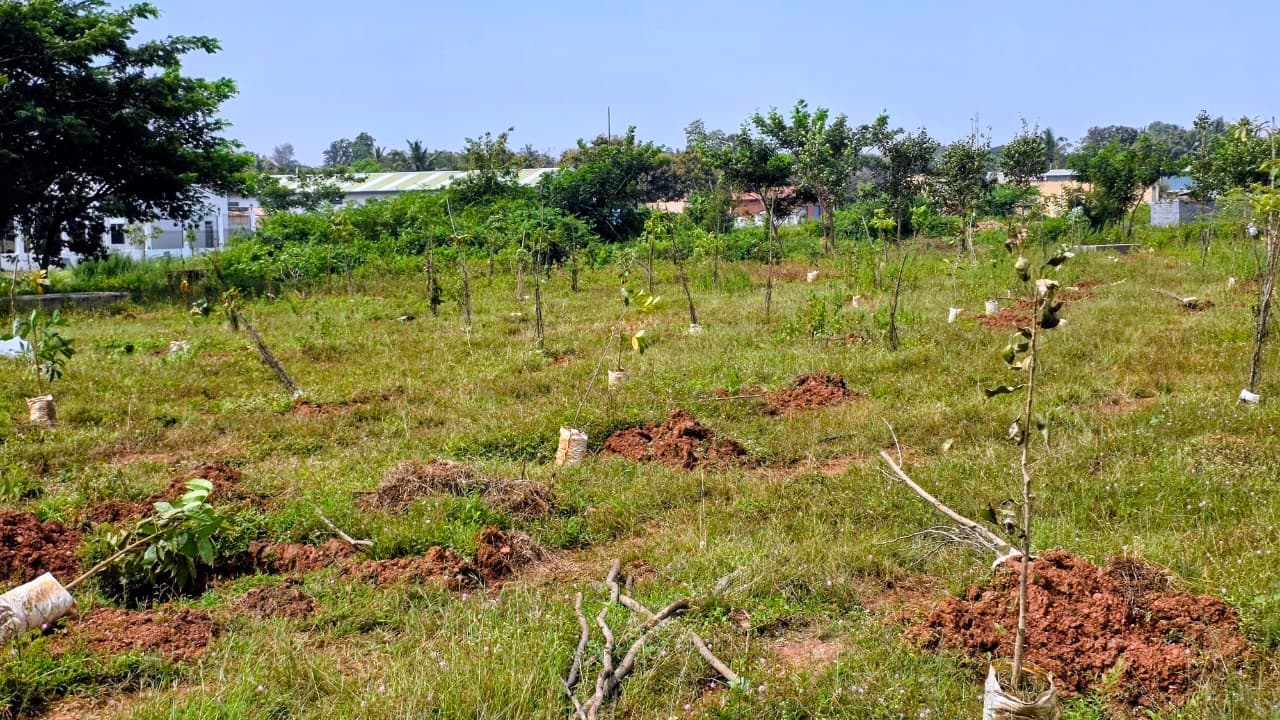 Tree Plantation Drive – Planting of 170 Saplings