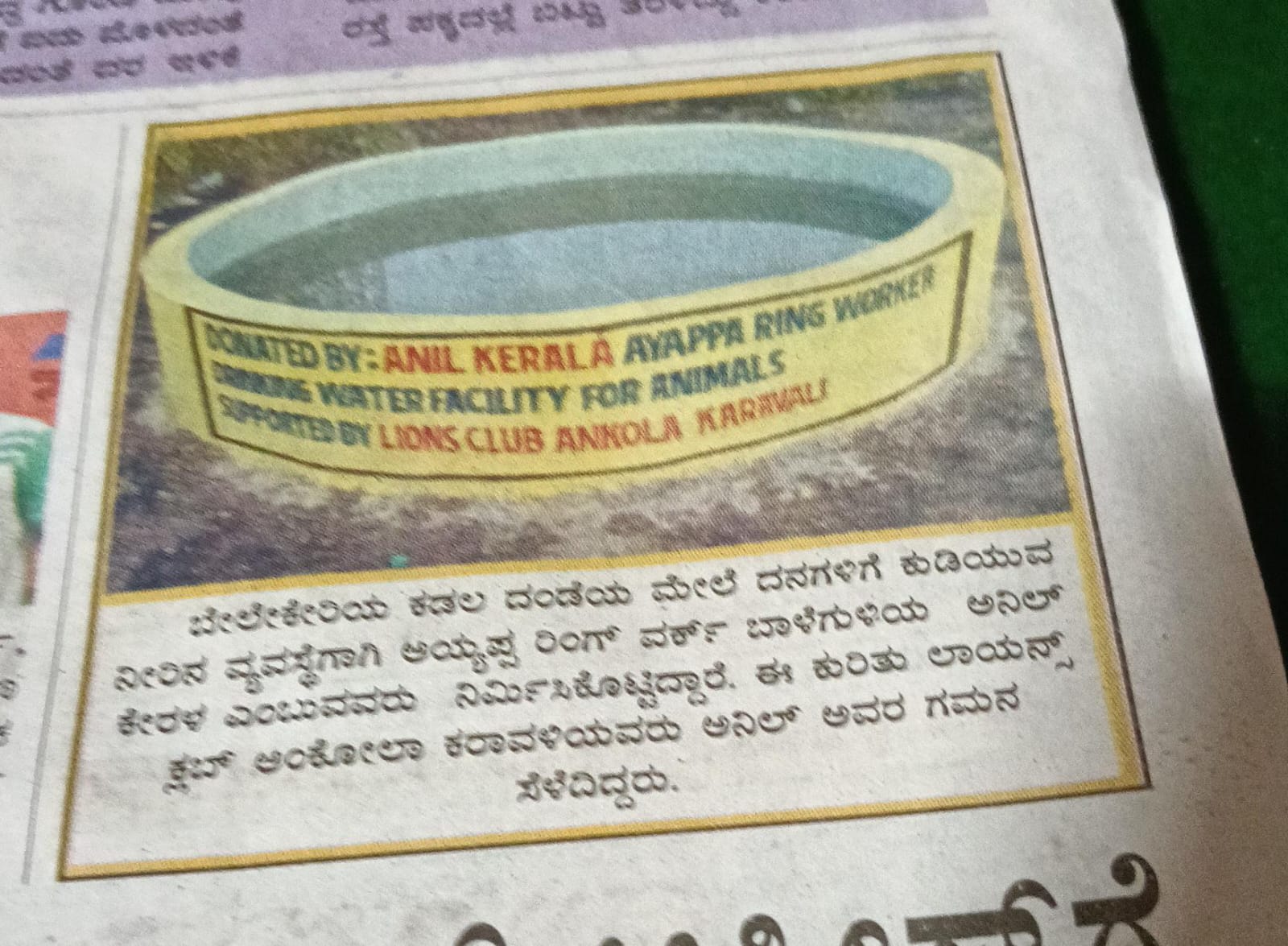 DRINKING WATER SYSTEM FOR ANIMALS AND BIRDS