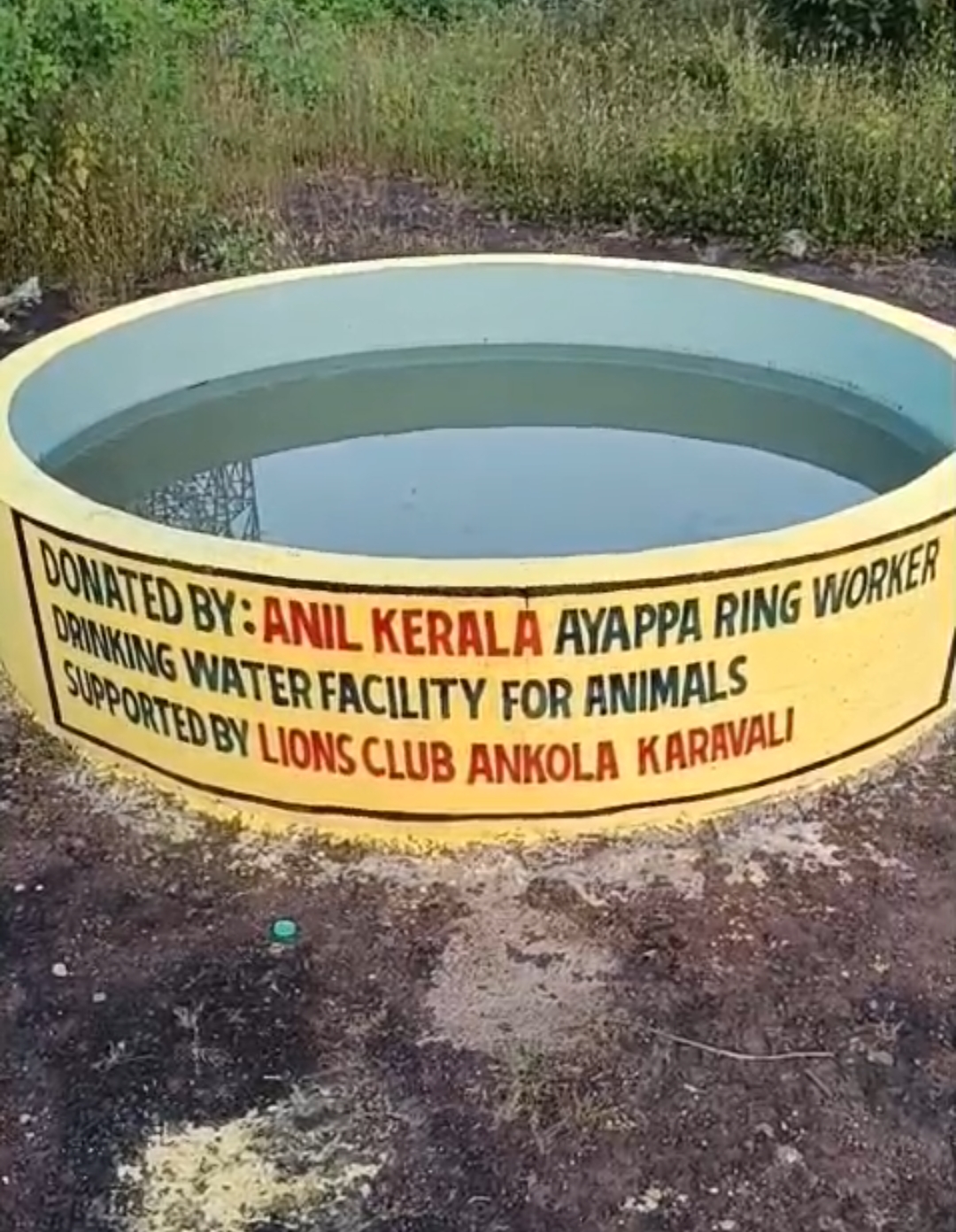 DRINKING WATER SYSTEM FOR ANIMALS AND BIRDS