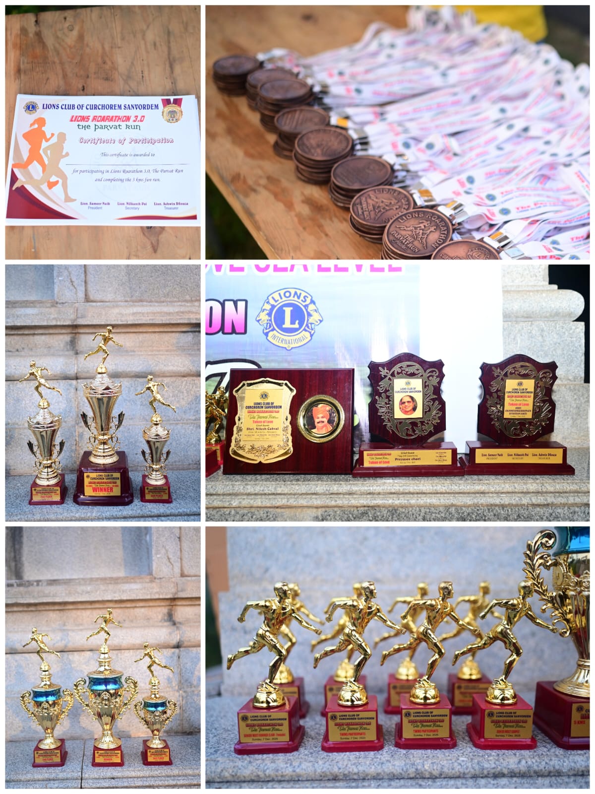 LIONS ROARATHON 3.0 - THE PARVAT RUN