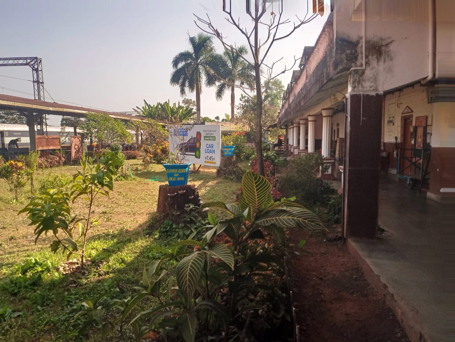 Maintaining the Garden at the Karmali Railway station