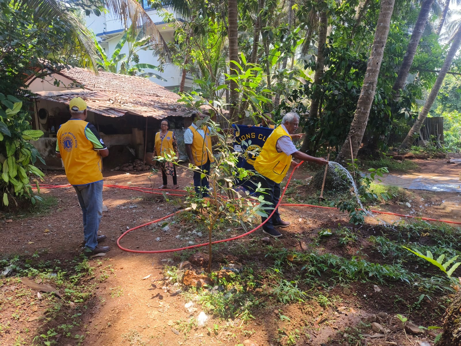 Tree plantation Drive at Siolim