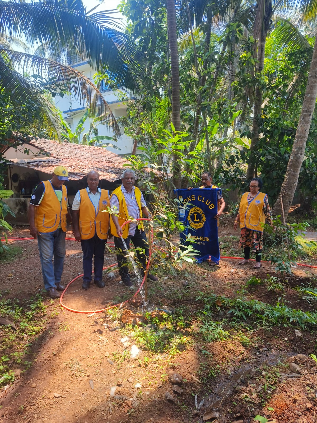 Tree plantation Drive at Siolim