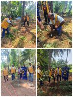 Tree plantation at Diego's farm sodim soliom
